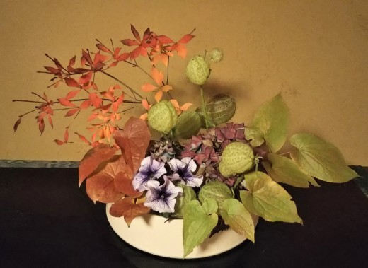 ドウダンツツジが美しい季節になりました 一花日和