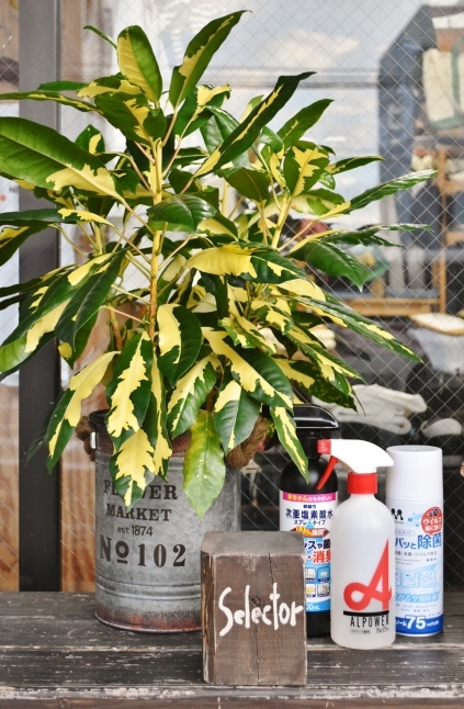 今時期に･･･　　CAMBER　PARKA　　別注_d0152280_19272988.jpg