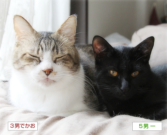 がまん_a0389088_04523145.jpg