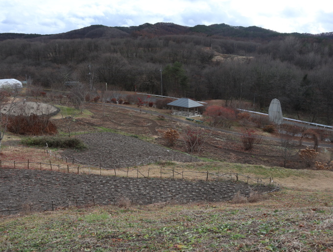 秋の遠足･････山の上庭園とアンディ＆ウイリアムボタニックガーデンへ_b0331802_19510233.jpg