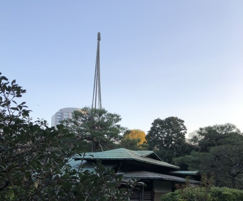 六義園 〜花・実編〜_b0407307_00460661.jpeg