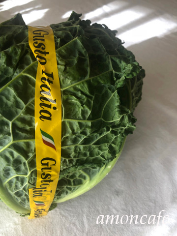 サボイキャベツ_f0192411_13164937.jpg