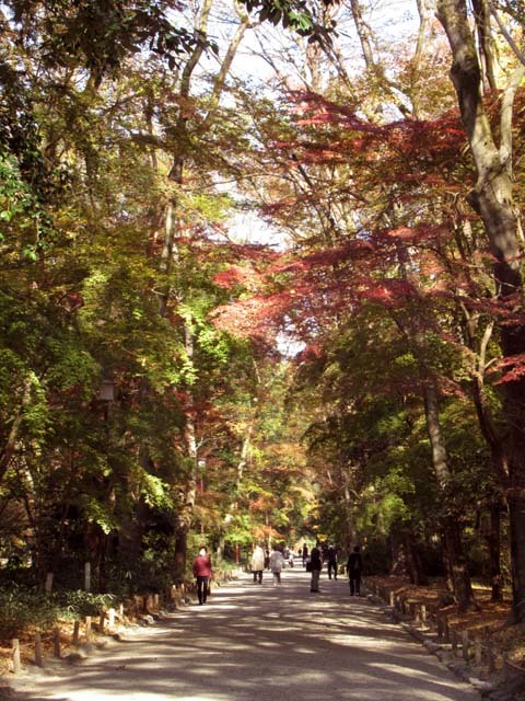下賀茂神社から糺の森・河合神社_e0048413_21073900.jpg