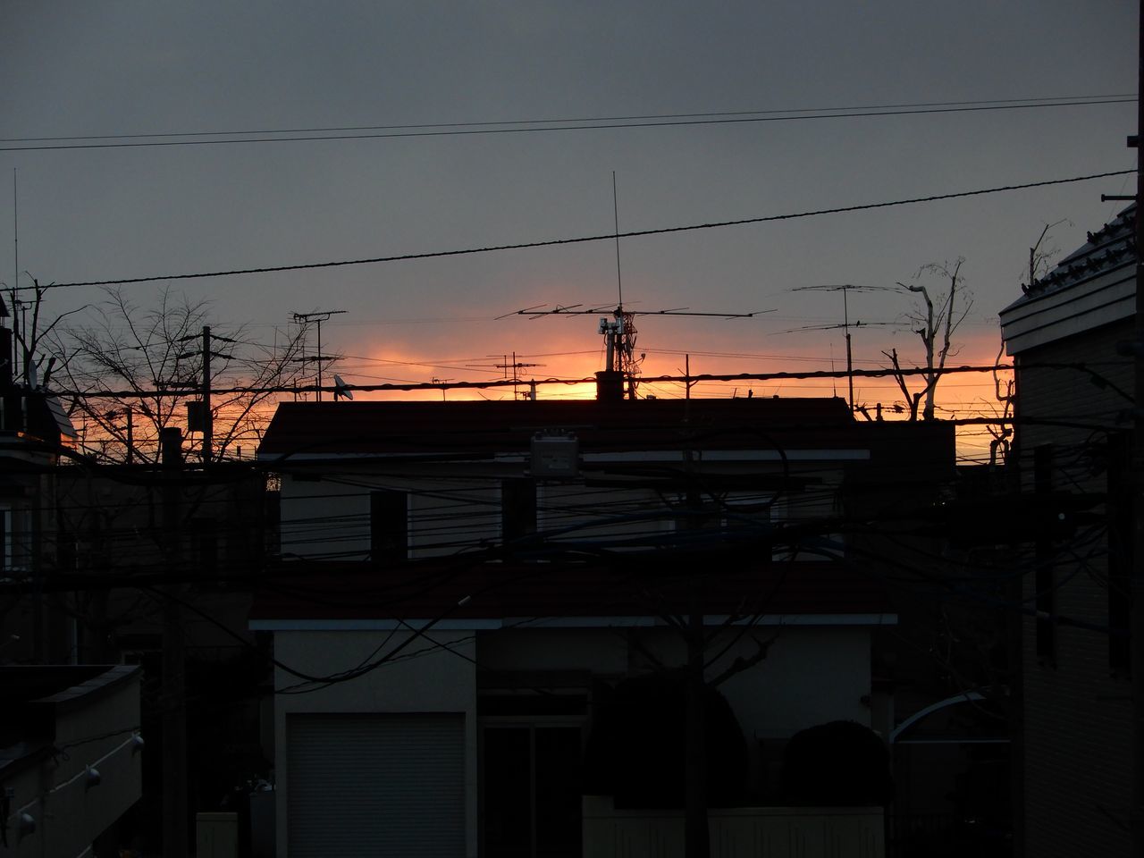 なんか暖かい_c0025115_21522348.jpg