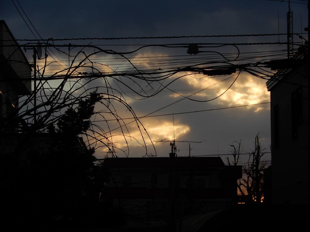 なんか暖かい_c0025115_21540784.jpg