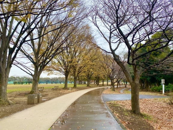 2020年12月練習会_d0086225_13223935.jpeg