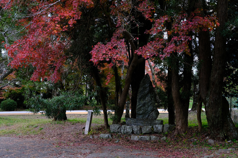 紀州　かつらぎ町丹生酒殿神社の大いちょう、岩出市根来寺大門の紅葉、橋本市吉原のメタセコイア_a0216227_21370021.jpg