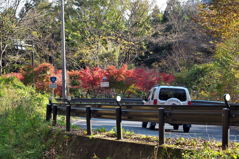 渋滞の土日を避けて「アプトの道」へ【後編】_d0137627_21024164.jpg