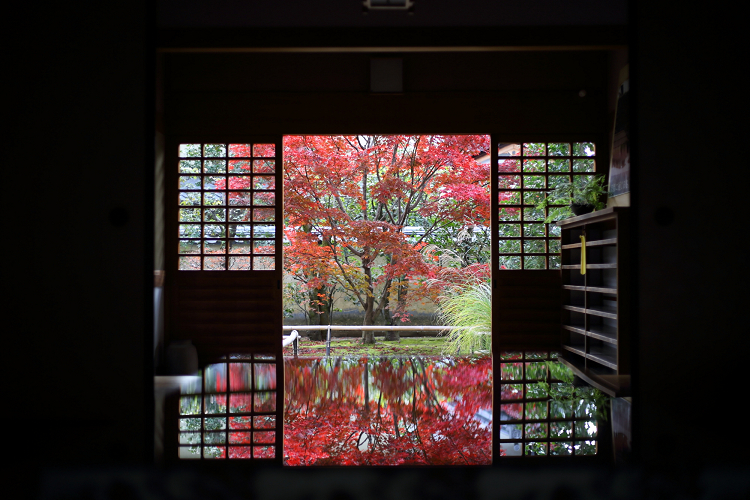 紅葉の京都 大徳寺 興臨院 ｍｅｍｏｒｙ ｏｆ ｋｙｏｔｏｌｉｆｅ
