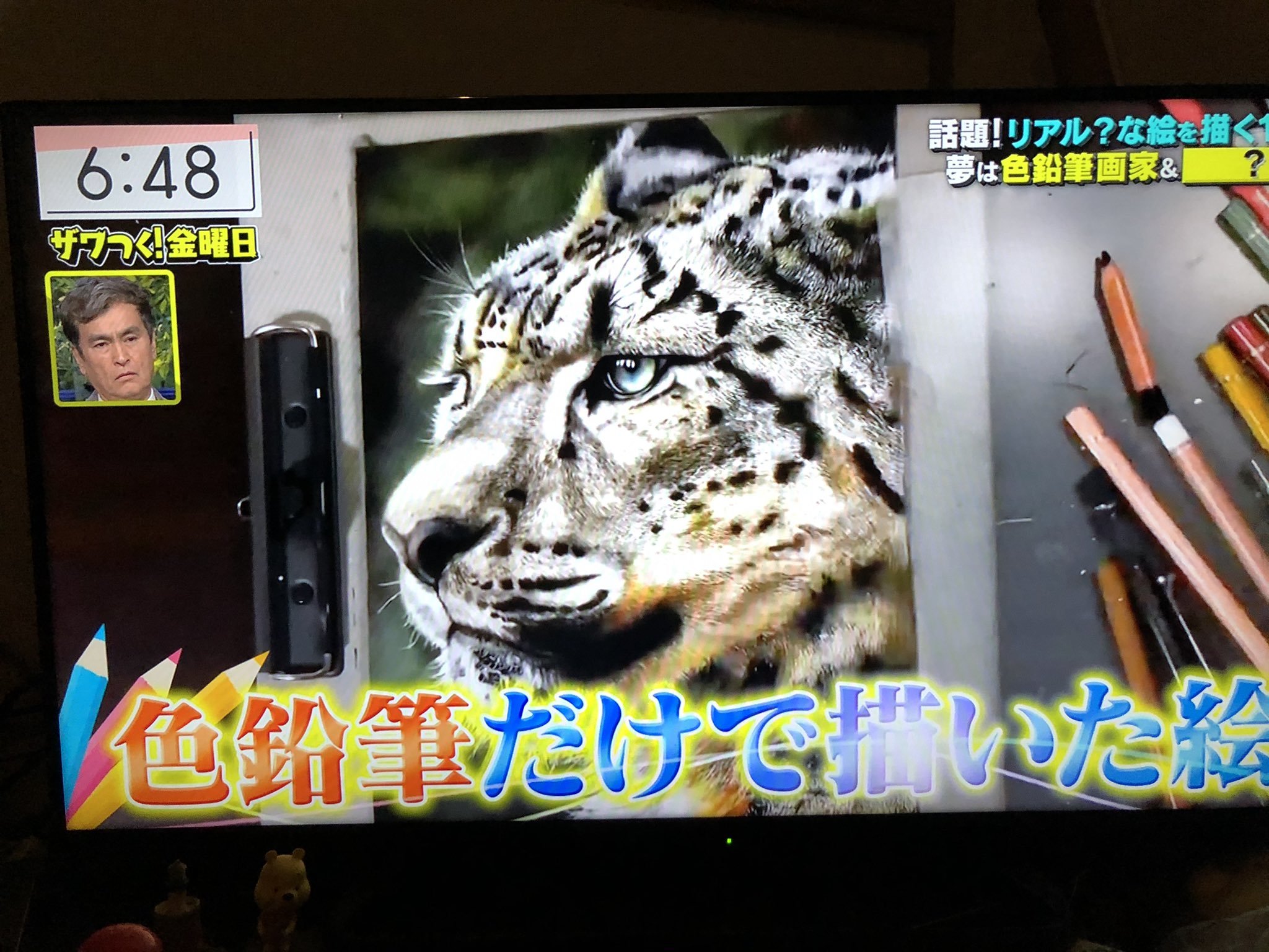 色鉛筆画の長靴をはいた猫 作家 水野麻里のデイリーブログ 色鉛筆画の長靴をはいた猫 作家 水野麻里のデイリーブログ