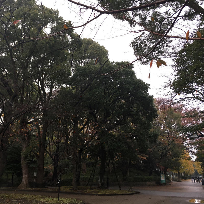 上野で今日も古墳に登る_c0060143_17191963.jpg