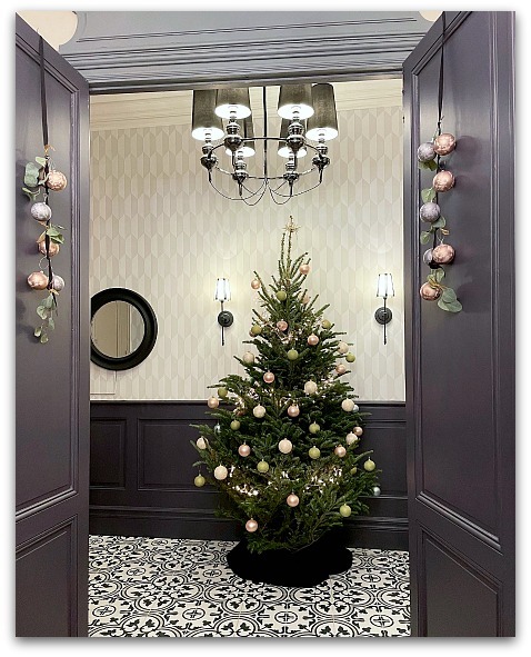 初!もみの木でクリスマスツリー_d0010182_18290473.jpg
