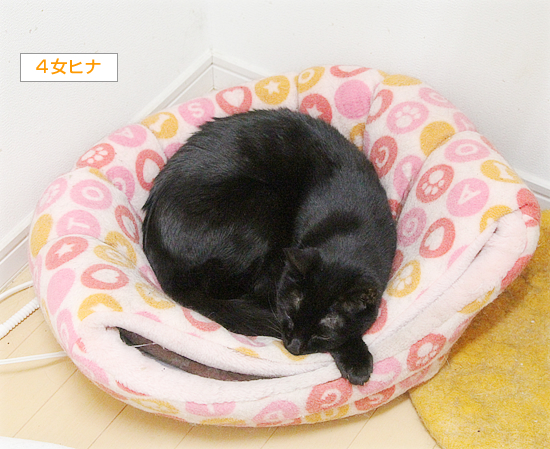 間違ってる_a0389088_06305844.jpg