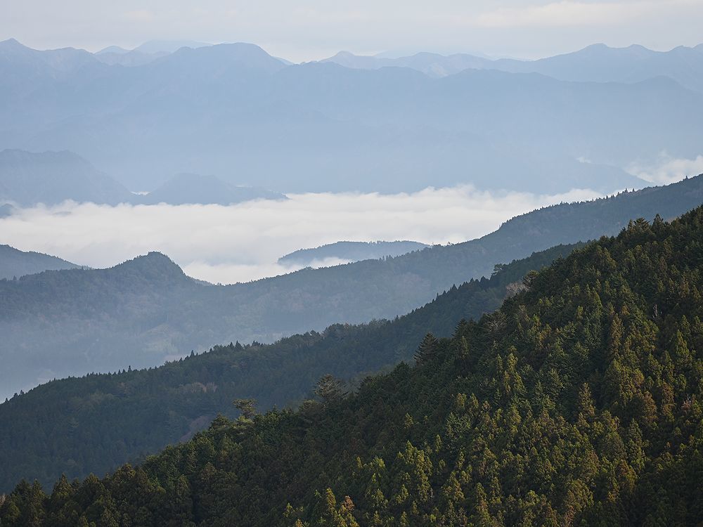 三辻山を歩く_b0370155_16343794.jpg