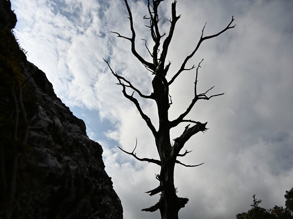 三辻山を歩く_b0370155_16344747.jpg