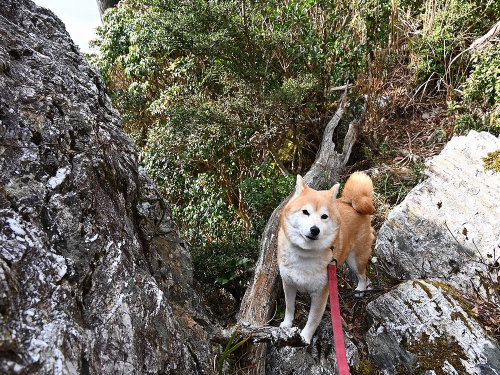 三辻山を歩く_b0370155_16345196.jpg