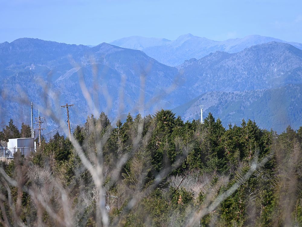 三辻山を歩く_b0370155_16350935.jpg