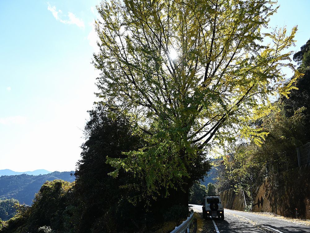 三辻山を歩く_b0370155_16351997.jpg