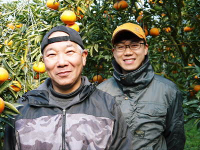 究極の柑橘「せとか」 しっかり寒さを感じさせたのでハウスにビニールを張りました!今年も順調に成長中!_a0254656_16383595.jpg
