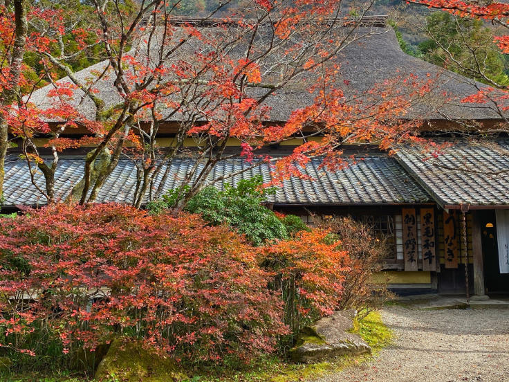 由布院温泉の御三家の一つである亀の井別荘さんのお庭です。_b0063958_07093550.jpg
