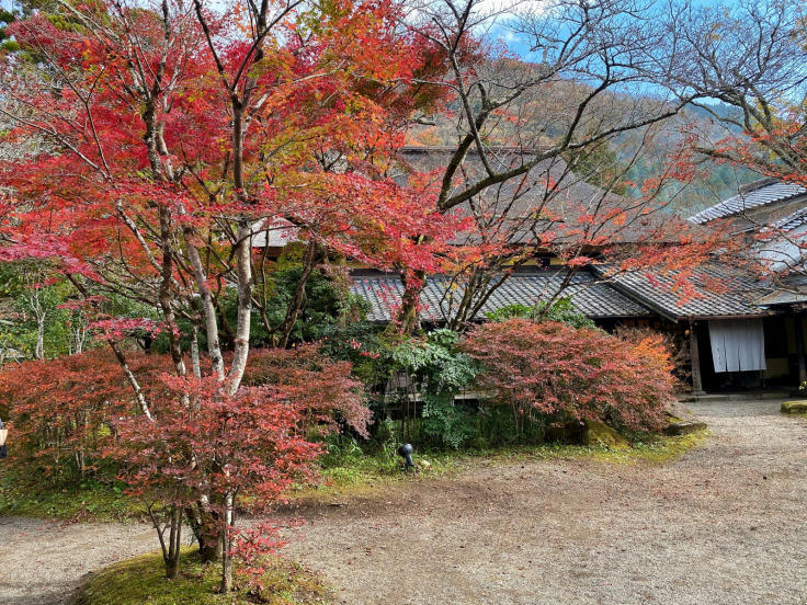 由布院温泉の御三家の一つである亀の井別荘さんのお庭です。_b0063958_07094179.jpg
