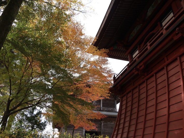 渋川市 双林寺の紅葉 (2020/11/26撮影)_b0369971_13382388.jpg