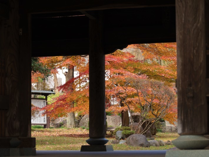 渋川市 双林寺の紅葉 (2020/11/26撮影)_b0369971_13384454.jpg