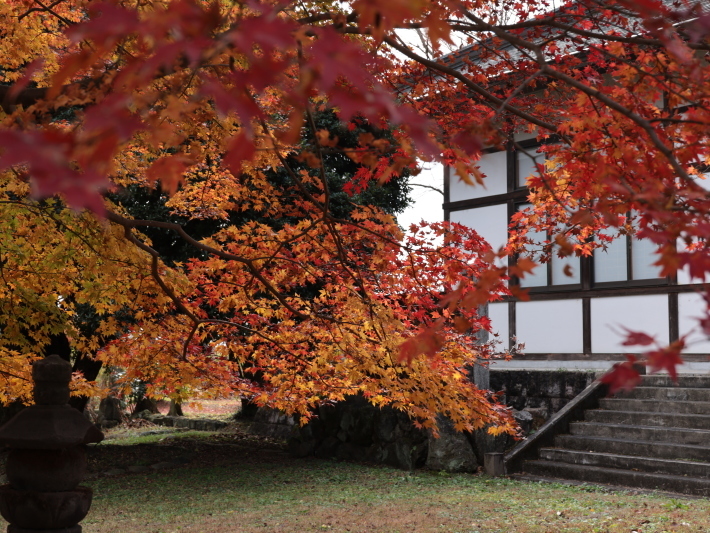 渋川市 双林寺の紅葉 (2020/11/26撮影)_b0369971_13401392.jpg