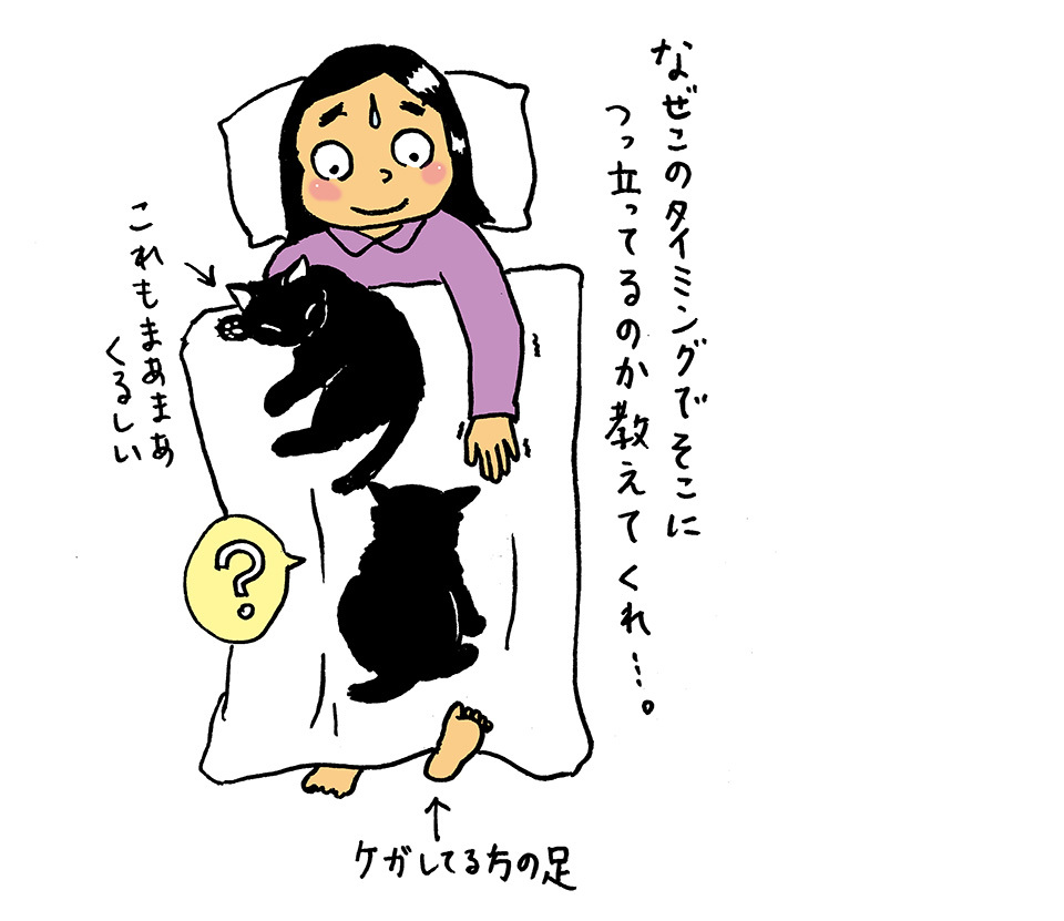退院後の生活について 前編 まりんの世界手帖 退院後の生活について 前編 まりんの世界手帖