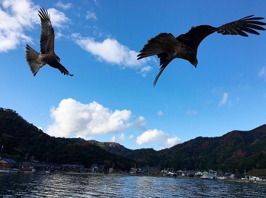 天橋立と伊根の舟屋_a0131787_13123970.jpg