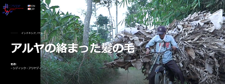 インドネシアの映画 アルヤの絡まった髪の毛 Gimbal Visual Documentary Project オンライン 12 7 Exblog ガドガド