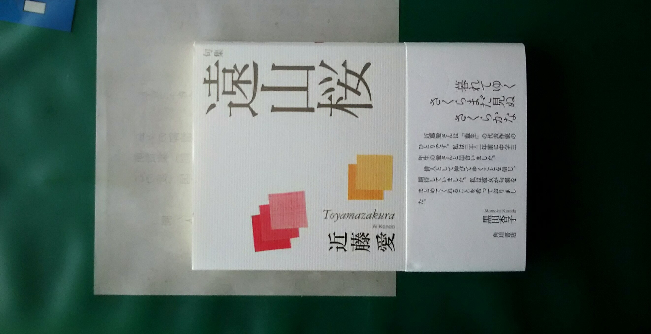 近藤愛句集 遠山桜 六四三の俳句覚書