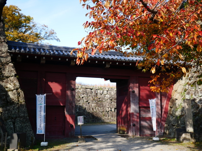 　　　　　和歌山城公園の 紅葉・黄葉　　２０２０-１２-０８　００：００_b0093754_21005673.jpg