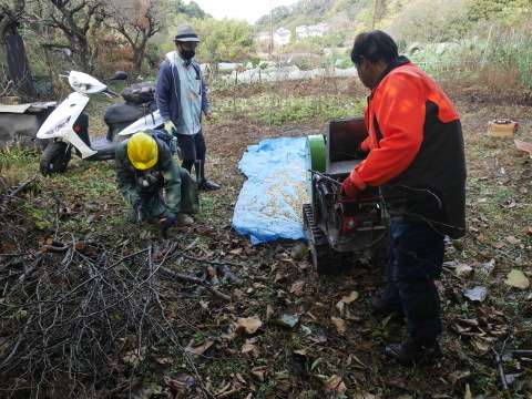 燻製・土壌改良用チップ作り：12・6六国見山手入れ_c0014967_12594287.jpg