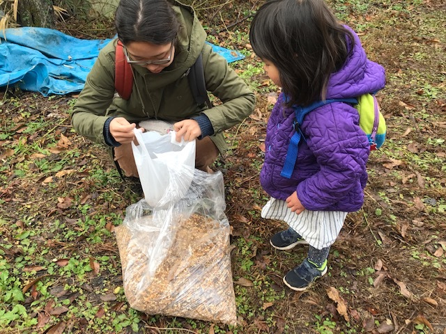 燻製・土壌改良用チップ作り：12・6六国見山手入れ_c0014967_13015860.jpg