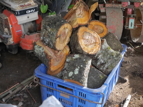 燻製・土壌改良用チップ作り：12・6六国見山手入れ_c0014967_13031175.jpg
