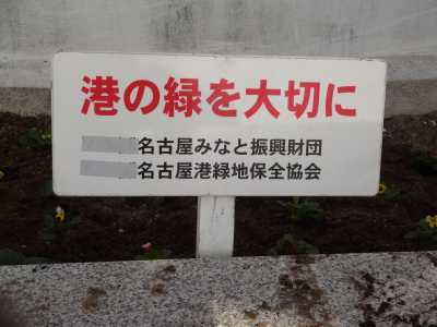 名古屋港水族館前花壇の植栽R2.12.2_d0338682_09374703.jpg