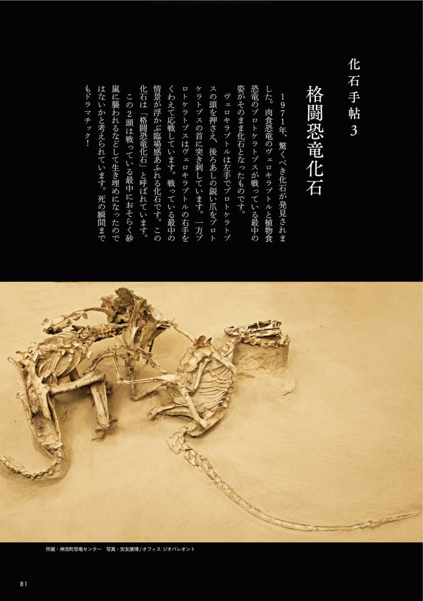 クワズイモとクマネズミと「ときめく化石図鑑」_c0025115_21575892.jpg