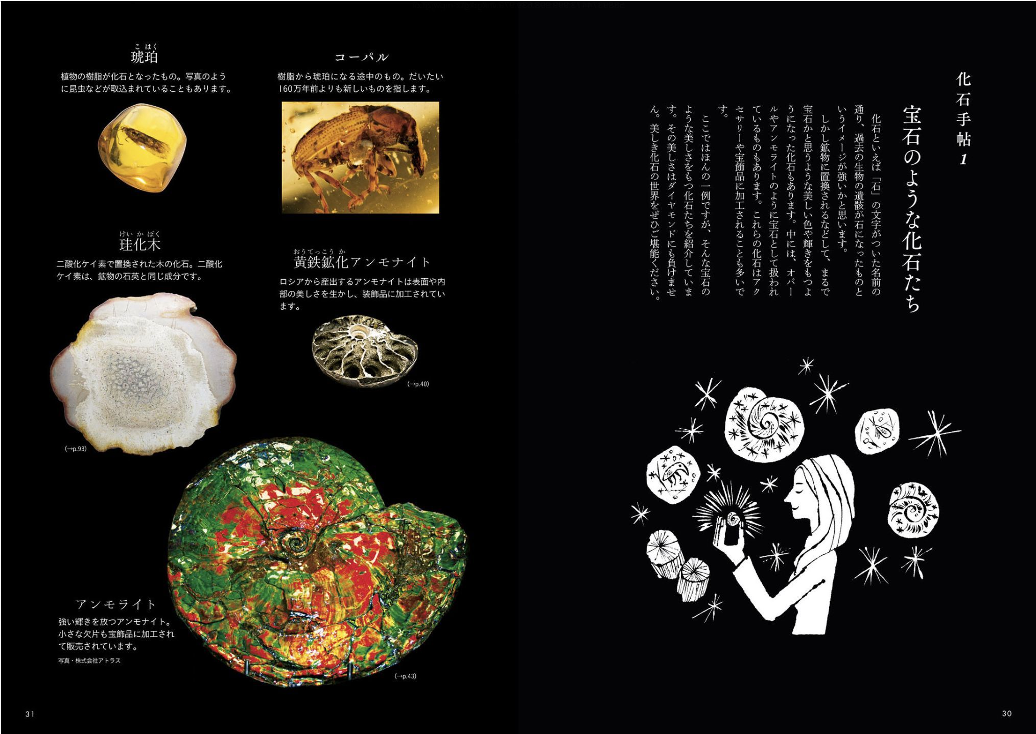 クワズイモとクマネズミと「ときめく化石図鑑」_c0025115_21585620.jpg