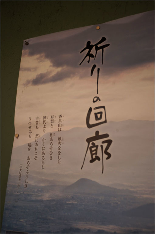 2203 カタストロフィー(2020年4月27日ズマロン35mmF3.5奈良帯解で広角美を発揮し)多事多難_b0226423_22320191.jpg