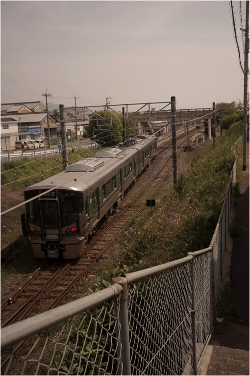 2203　カタストロフィー（2020年4月27日ズマロン35mmF3.5奈良帯解で広角美を発揮し）多事多難_b0226423_22323535.jpg