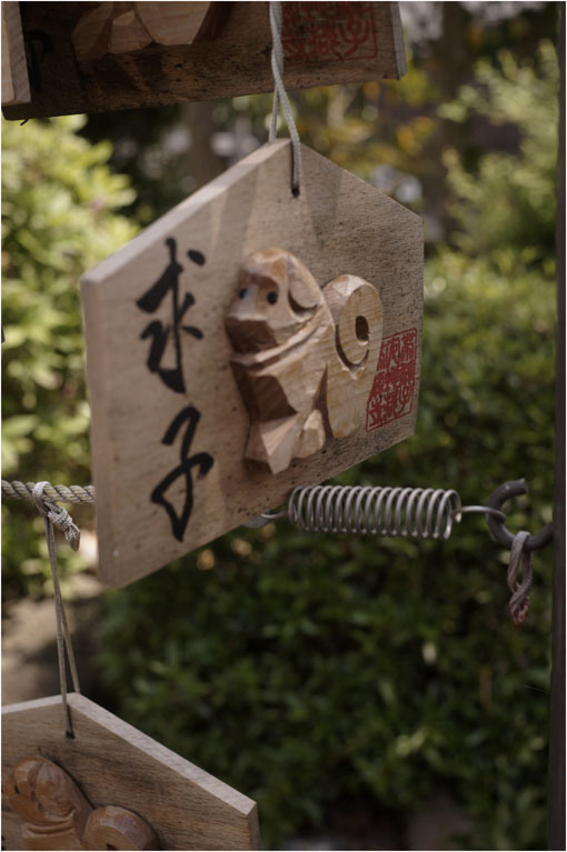 2203 カタストロフィー(2020年4月27日ズマロン35mmF3.5奈良帯解で広角美を発揮し)多事多難_b0226423_22353023.jpg