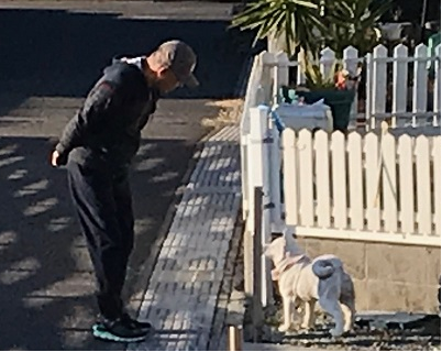 動かない犬_d0070634_15091846.png