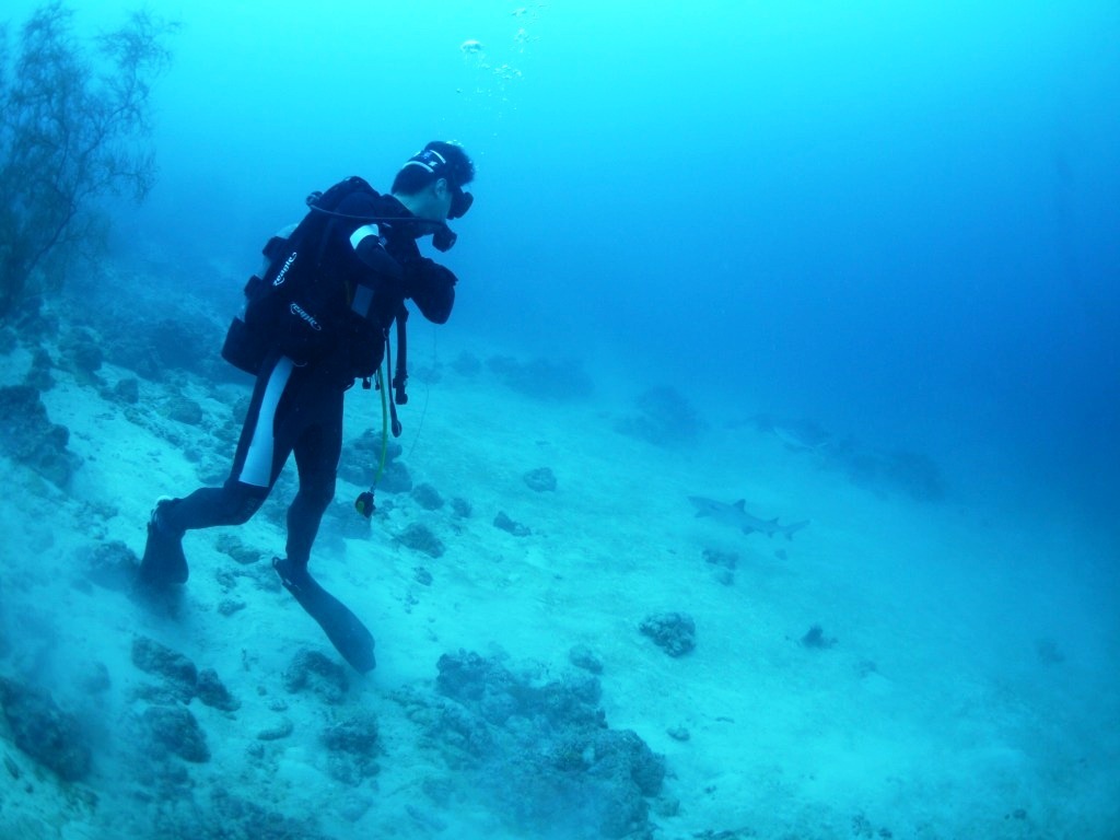 家族で海を楽しむ~♪_a0189838_16560822.jpg