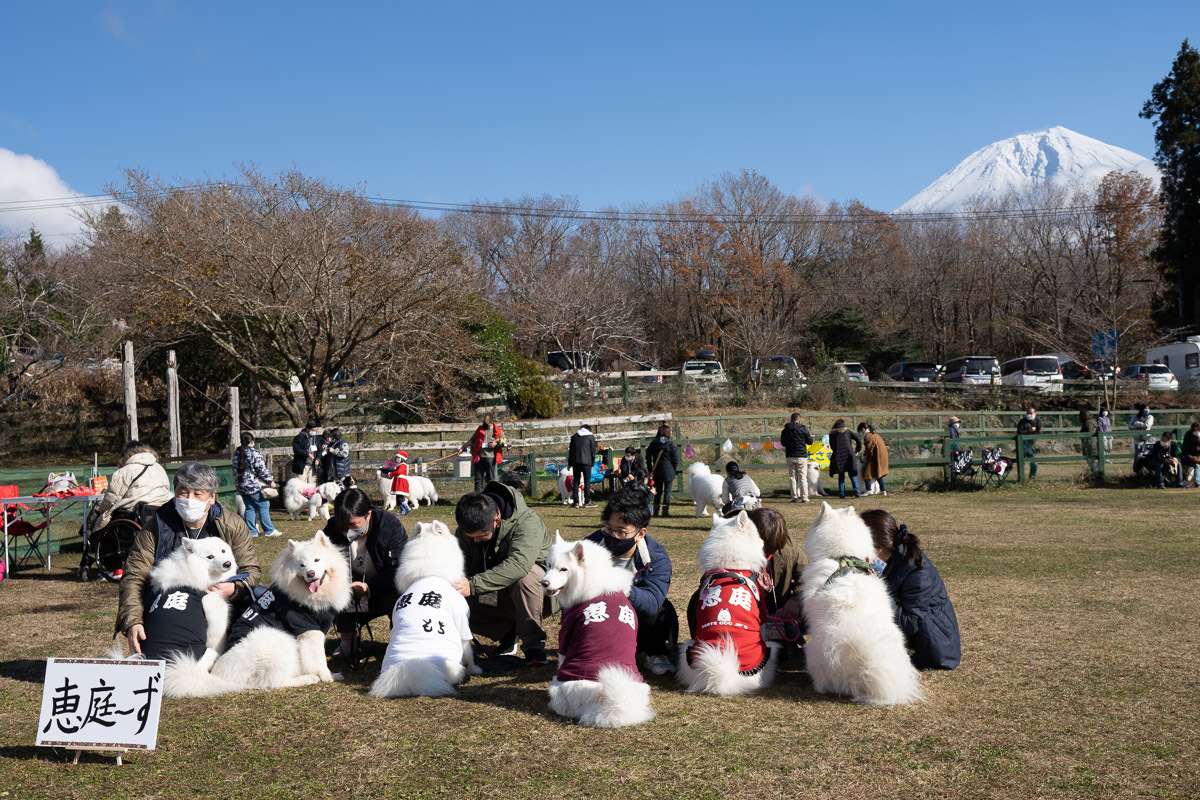 富士さも　2020_d0144253_00053798.jpg