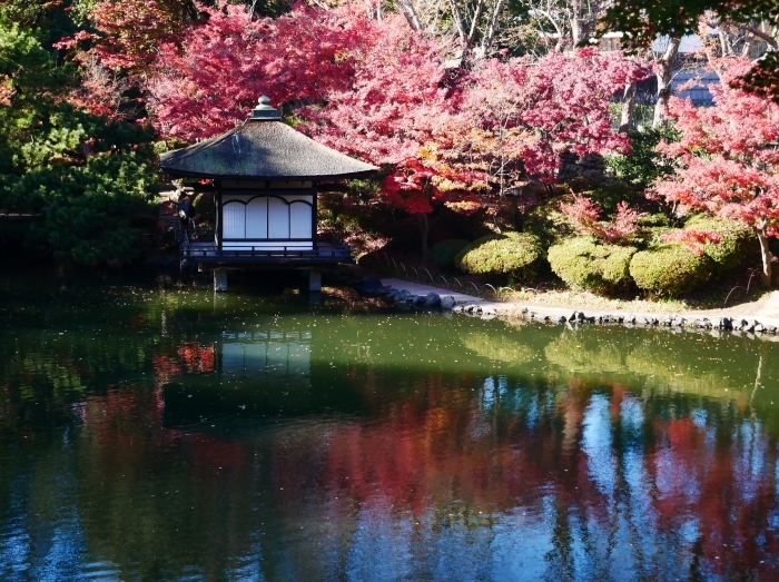 　　紅葉渓庭園・鳶魚閣（えんぎょかく）　　２０２０-１２-１０　００：００_b0093754_23091003.jpg