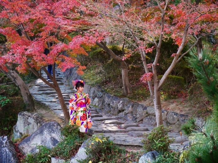 　　紅葉渓庭園・鳶魚閣（えんぎょかく）　　２０２０-１２-１０　００：００_b0093754_23102294.jpg