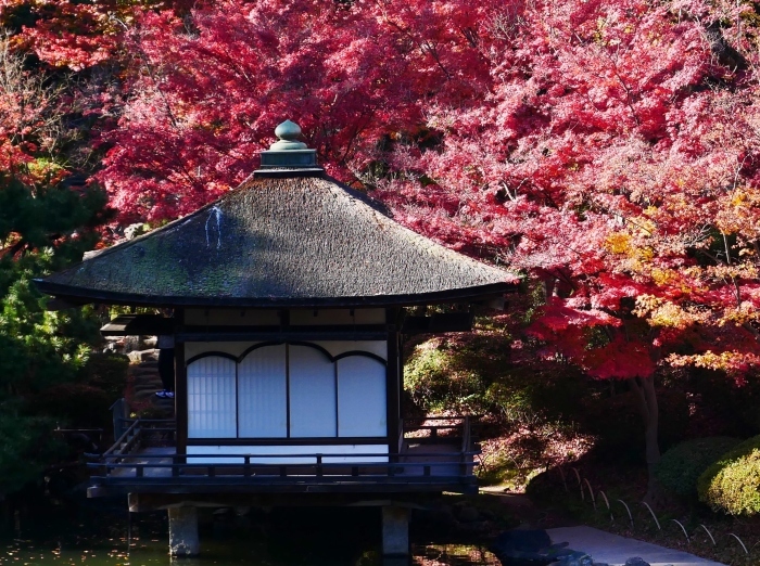 　　紅葉渓庭園・鳶魚閣（えんぎょかく）　　２０２０-１２-１０　００：００_b0093754_23103373.jpg