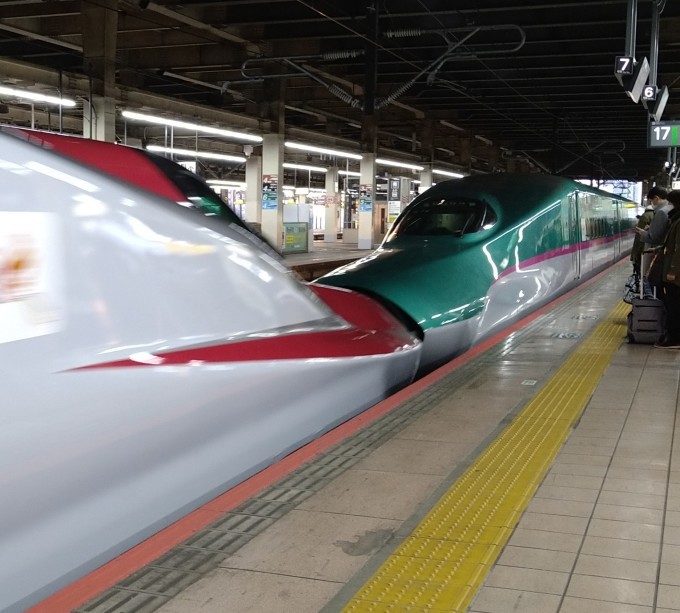 2020冬 オトナの遠足_b0304662_19072264.jpg