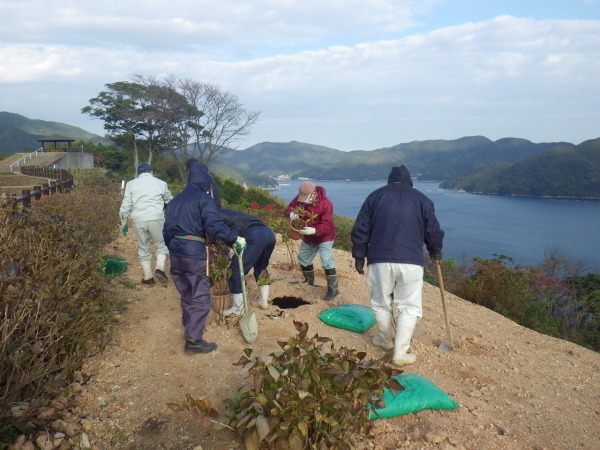 米水津 大分県佐伯市 観光ブログ 米水津 大分県佐伯市 観光ブログ
